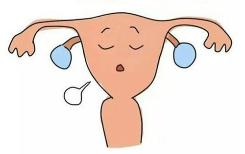 子宫畸形可以做试管吗？先天性始基子宫能做试管婴儿吗？