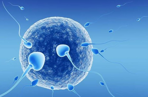 试管婴儿男性怎么取精？试管婴儿是如何取精子的？