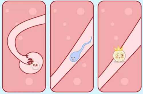输卵管堵塞只能试管吗？南京试管婴儿技术助力您成功好孕！