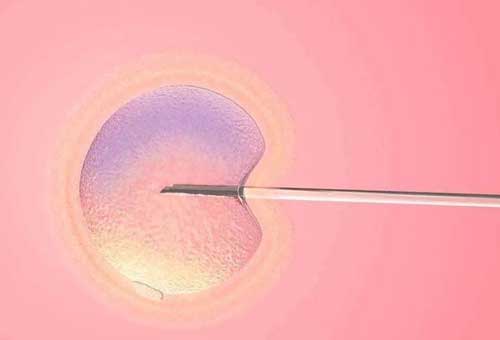 胚胎移殖后有什么症状？移植后静待胚胎着床！
