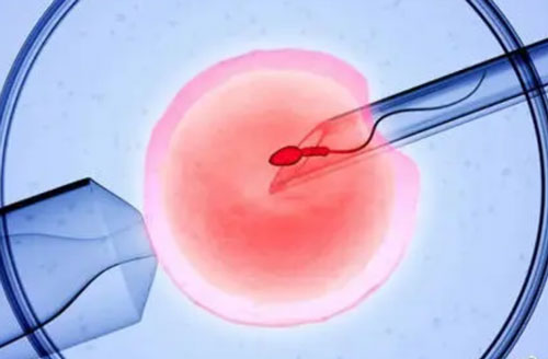 试管胚胎为什么着床会放屁？怀孕初期激素分泌改变所致！