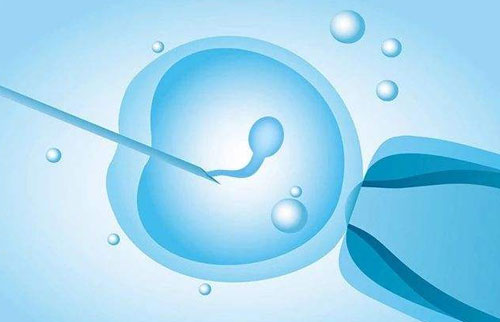 二代试管放几个？一般都是单胚胎移植！