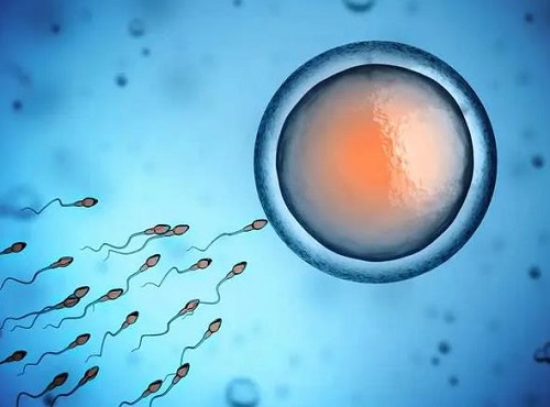 精子活动率和弱精症是什么关系？精子的活动率低可以怀孕吗？