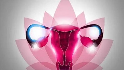 子宫腺肌症可以移植鲜胚吗？子宫腺肌症移植能成功怀孕吗？