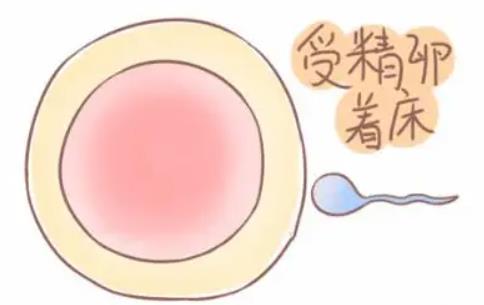 试管移植后一般几天胚胎着床？试管期间也要吃叶酸吗？
