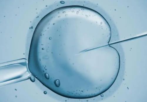 国内试管胚胎养几天？试管婴儿胚胎培养几天才能出结果？