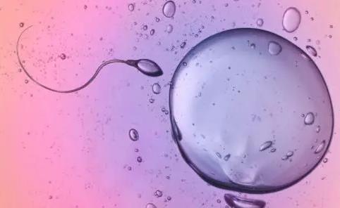 做试管婴儿精子的要求？做试管婴儿男方精子的数量有要求吗？