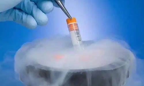 鲜胚生化多久移植冻胚？移植冻胚要在排卵后几天移植？